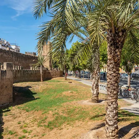 First Floor Close Macarena Church Apartment Seville